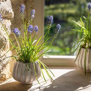 Garden Trading Osmington Small Pot